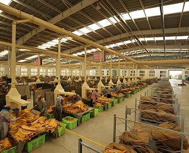 جامع الغبار